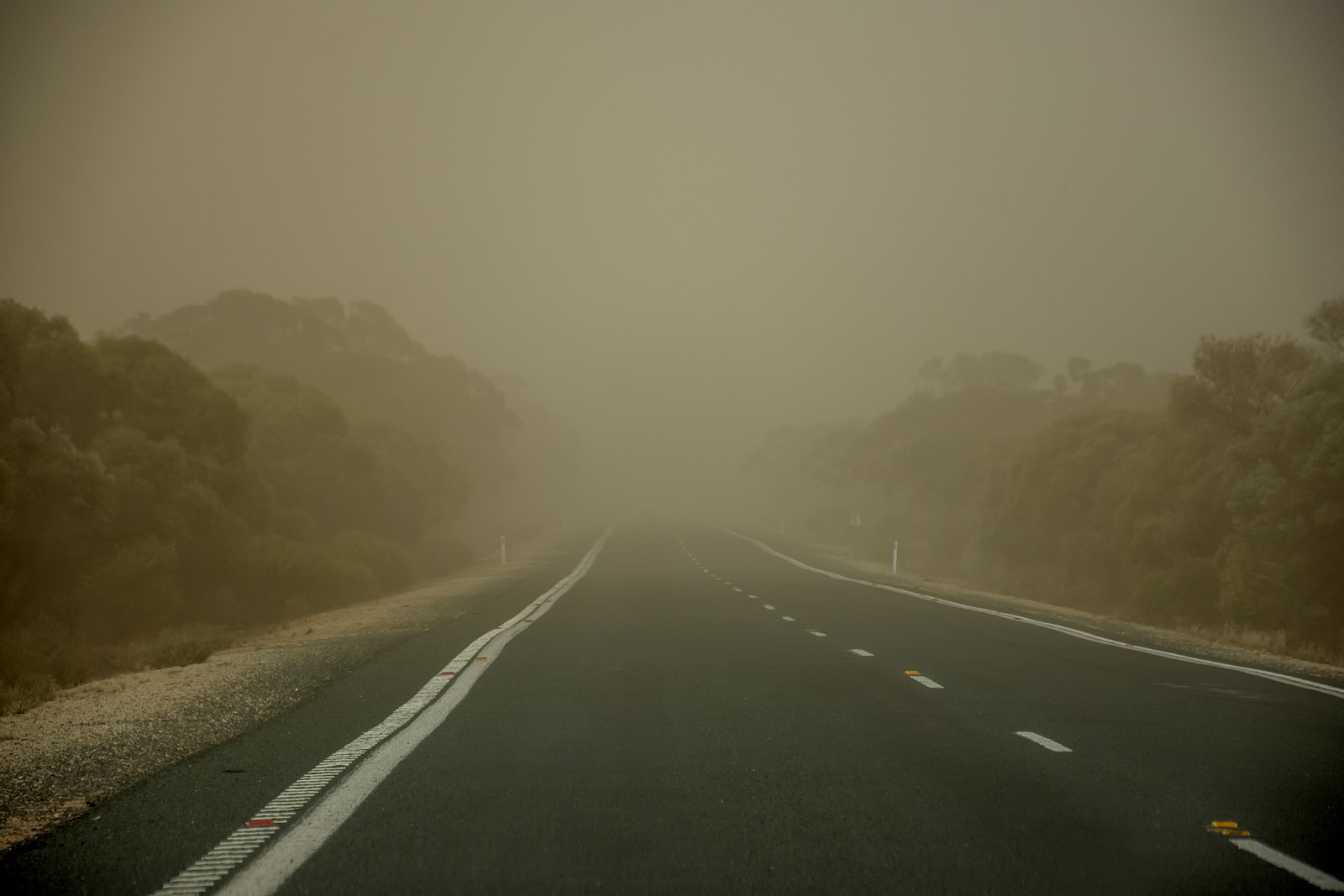 The Dust Storm