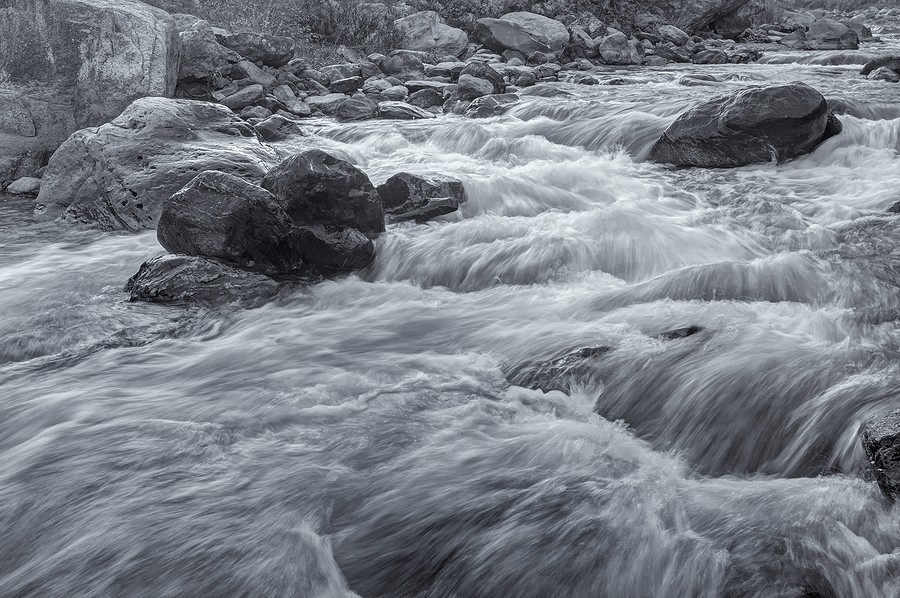 THE ROAR OF OUR ENEMIES