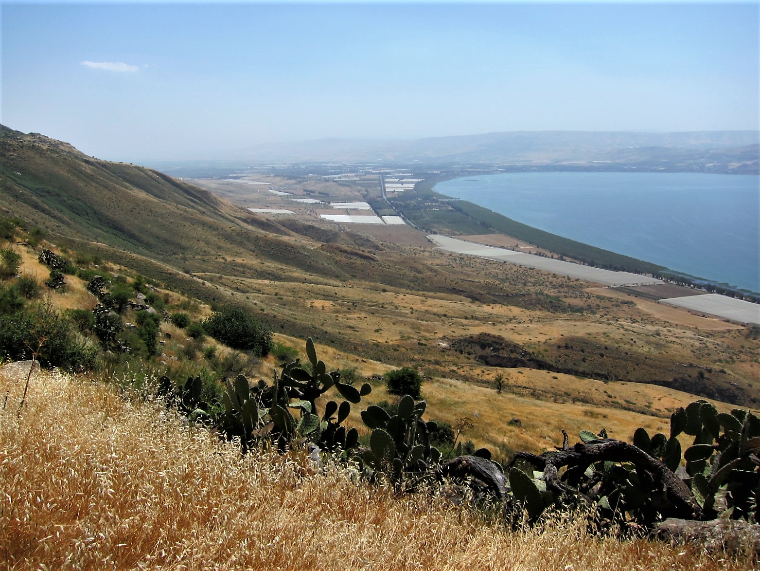 View From The Golan